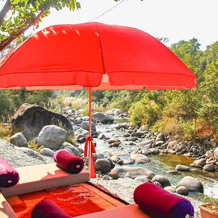 Prakriti Aalay - Riverside Mountain View Boutique Eco Resort Νταραμσάλα Εξωτερικό φωτογραφία