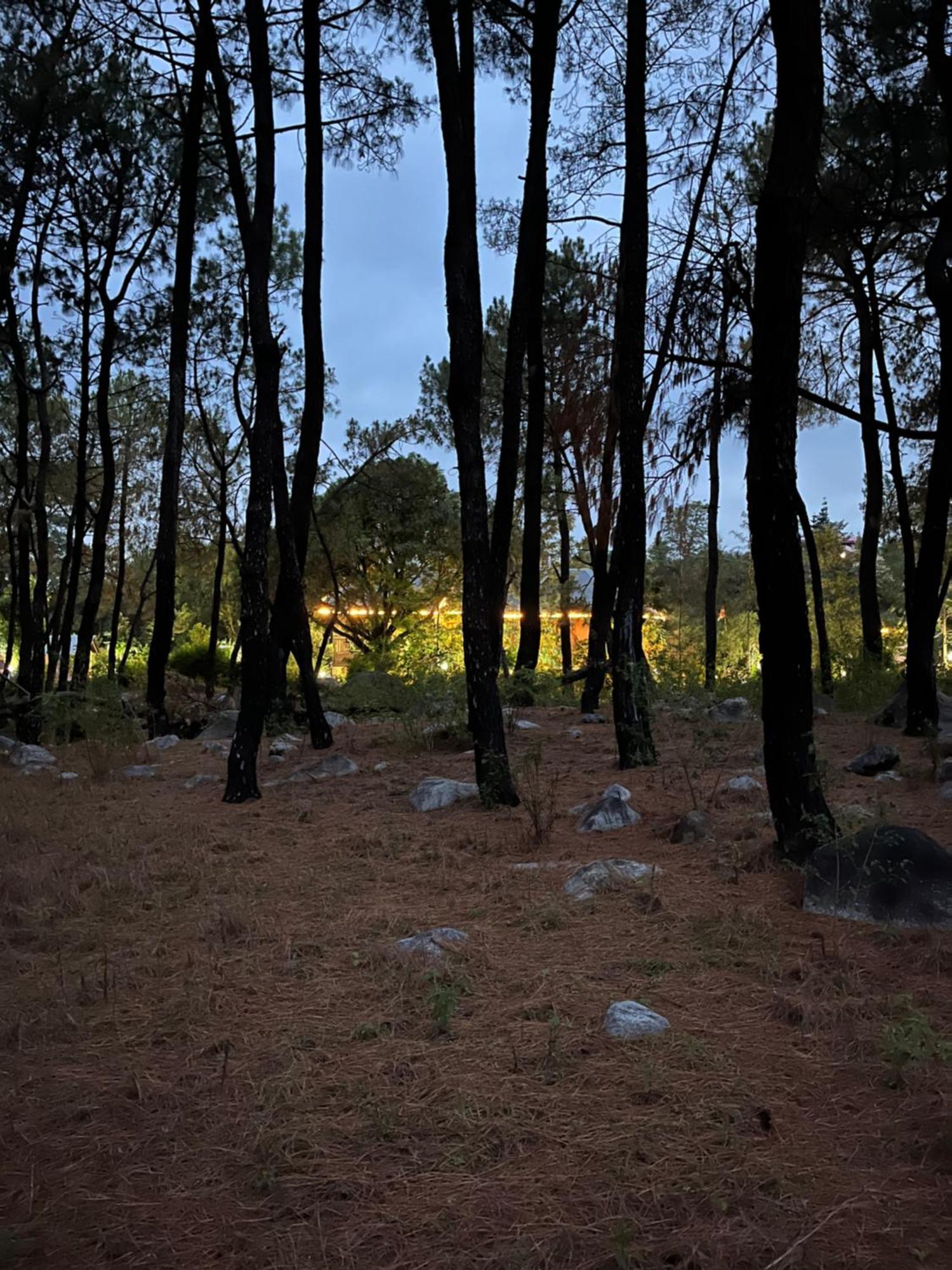 Prakriti Aalay - Riverside Mountain View Boutique Eco Resort Νταραμσάλα Εξωτερικό φωτογραφία