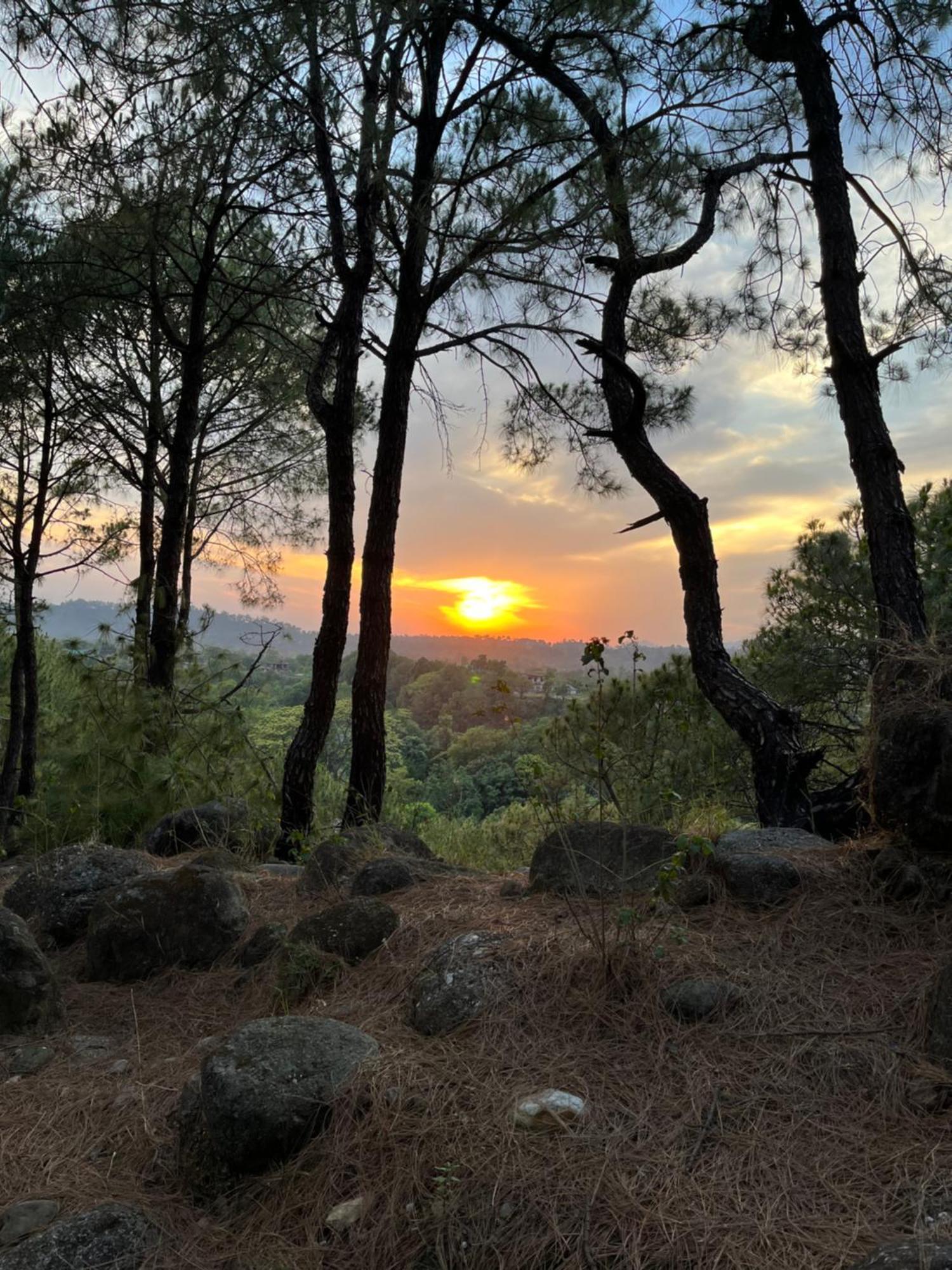 Prakriti Aalay - Riverside Mountain View Boutique Eco Resort Νταραμσάλα Εξωτερικό φωτογραφία
